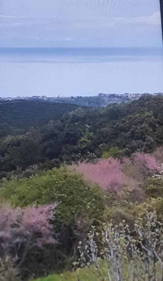 Πανοραμα Villa Aigani Luaran gambar